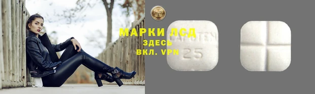 гидропоника Дмитриев