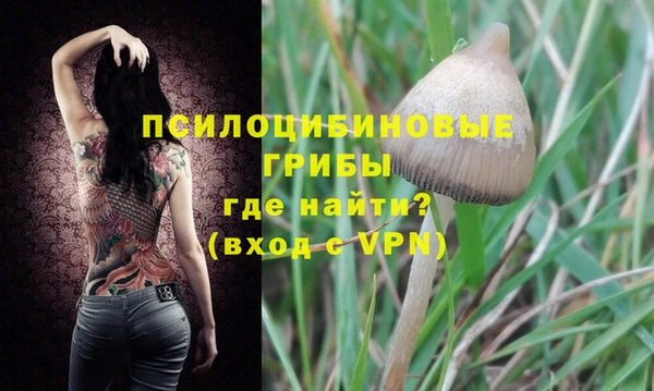 крисы Семилуки