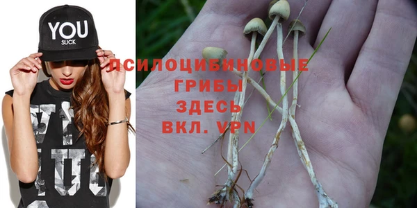синтетический гашиш Дмитров