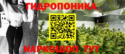 шишки Балаково