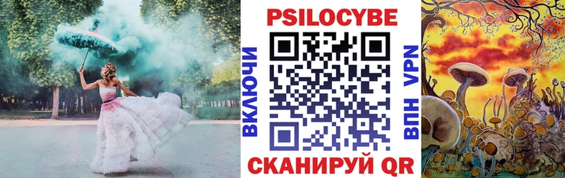 сколько стоит  Городец  Псилоцибиновые грибы Psilocybe 