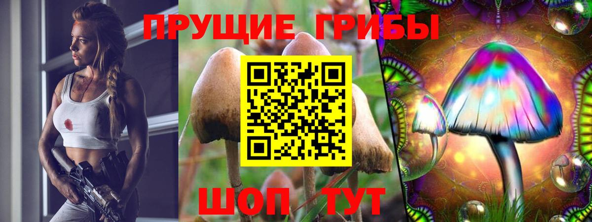 Галлюциногенные грибы GOLDEN TEACHER Городец
