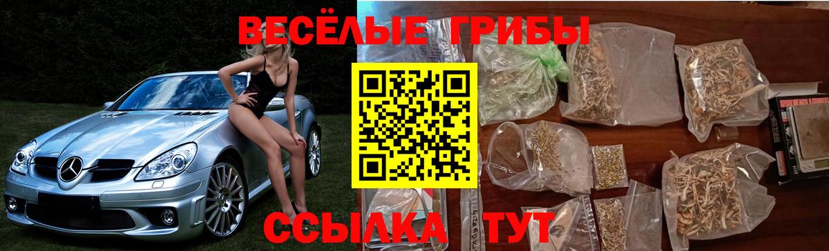 Псилоцибиновые грибы GOLDEN TEACHER Городец