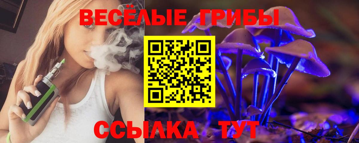 Галлюциногенные грибы Cubensis  где можно купить наркотик  Городец 