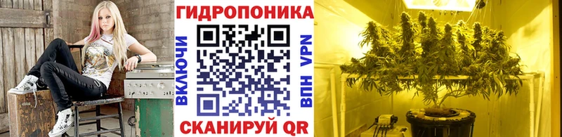 Бошки марихуана SATIVA & INDICA Городец